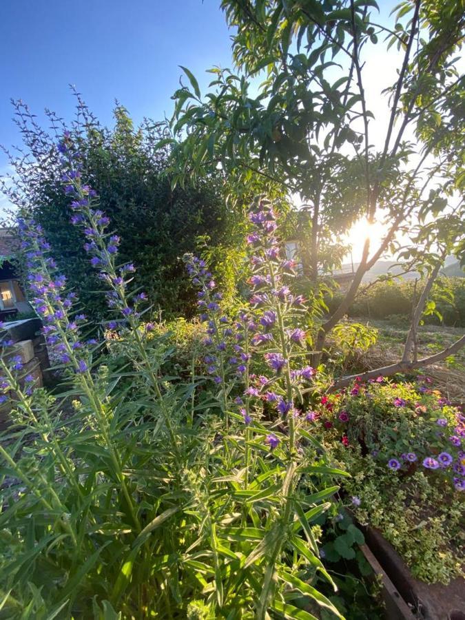 La Maison Du Potager Saint-Racho Eksteriør bilde
