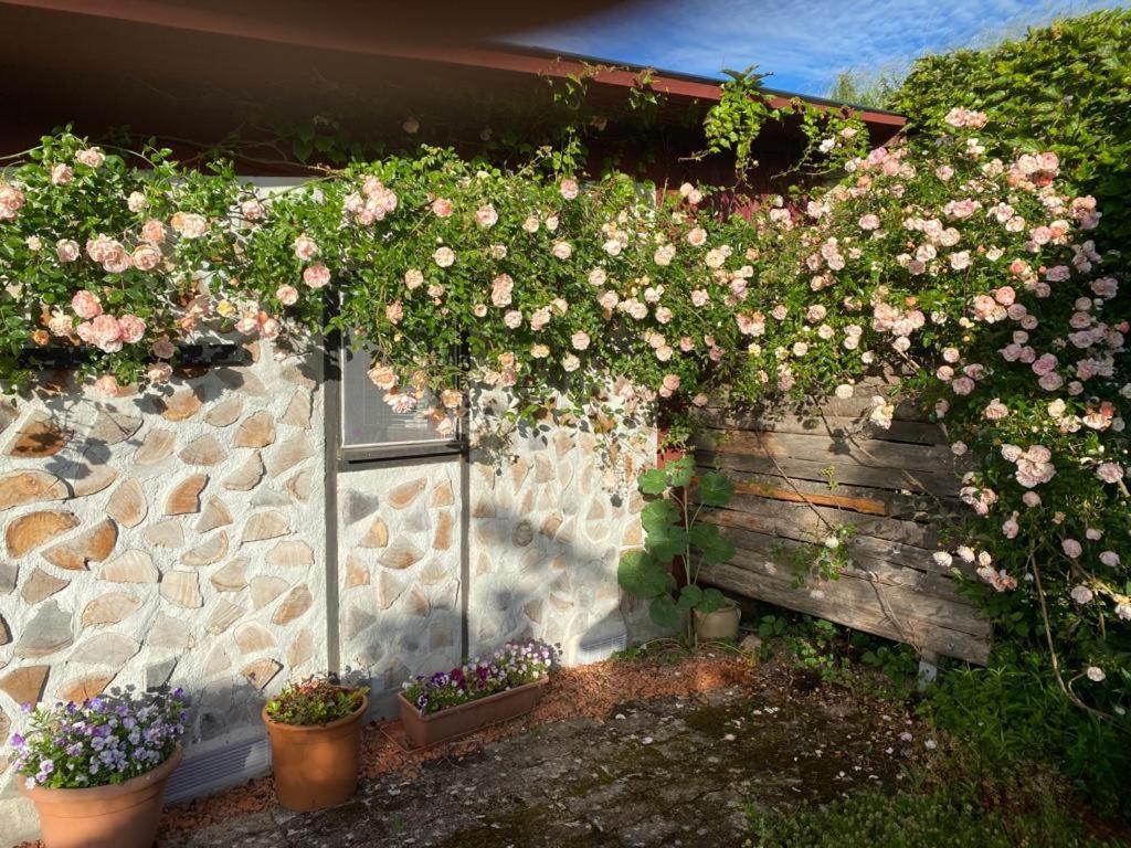 La Maison Du Potager Saint-Racho Eksteriør bilde